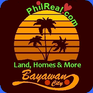 property for sale philippines
